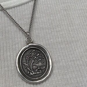 Pyrrha seeds of seeds of success pendant and chain